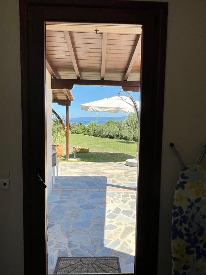 Apartment Calypso Ierissos